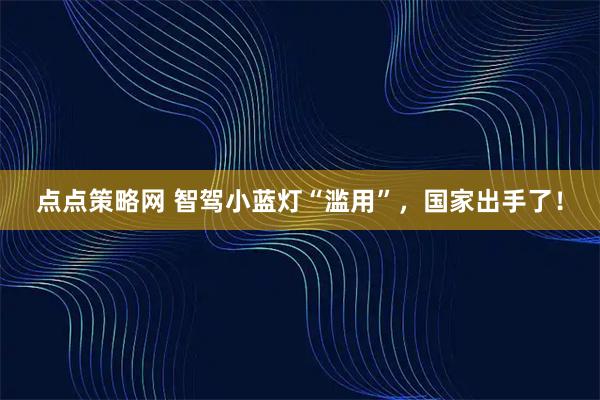 点点策略网 智驾小蓝灯“滥用”，国家出手了！
