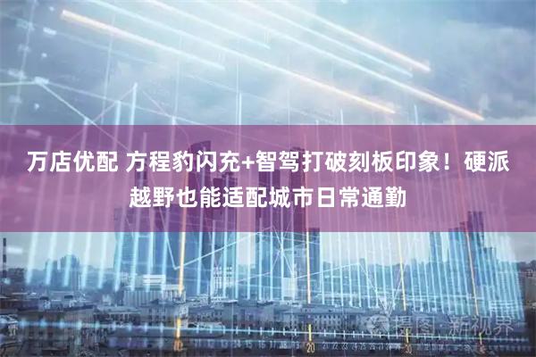万店优配 方程豹闪充+智驾打破刻板印象！硬派越野也能适配城市日常通勤